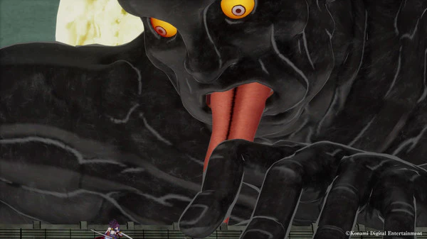 Thumbnail 11